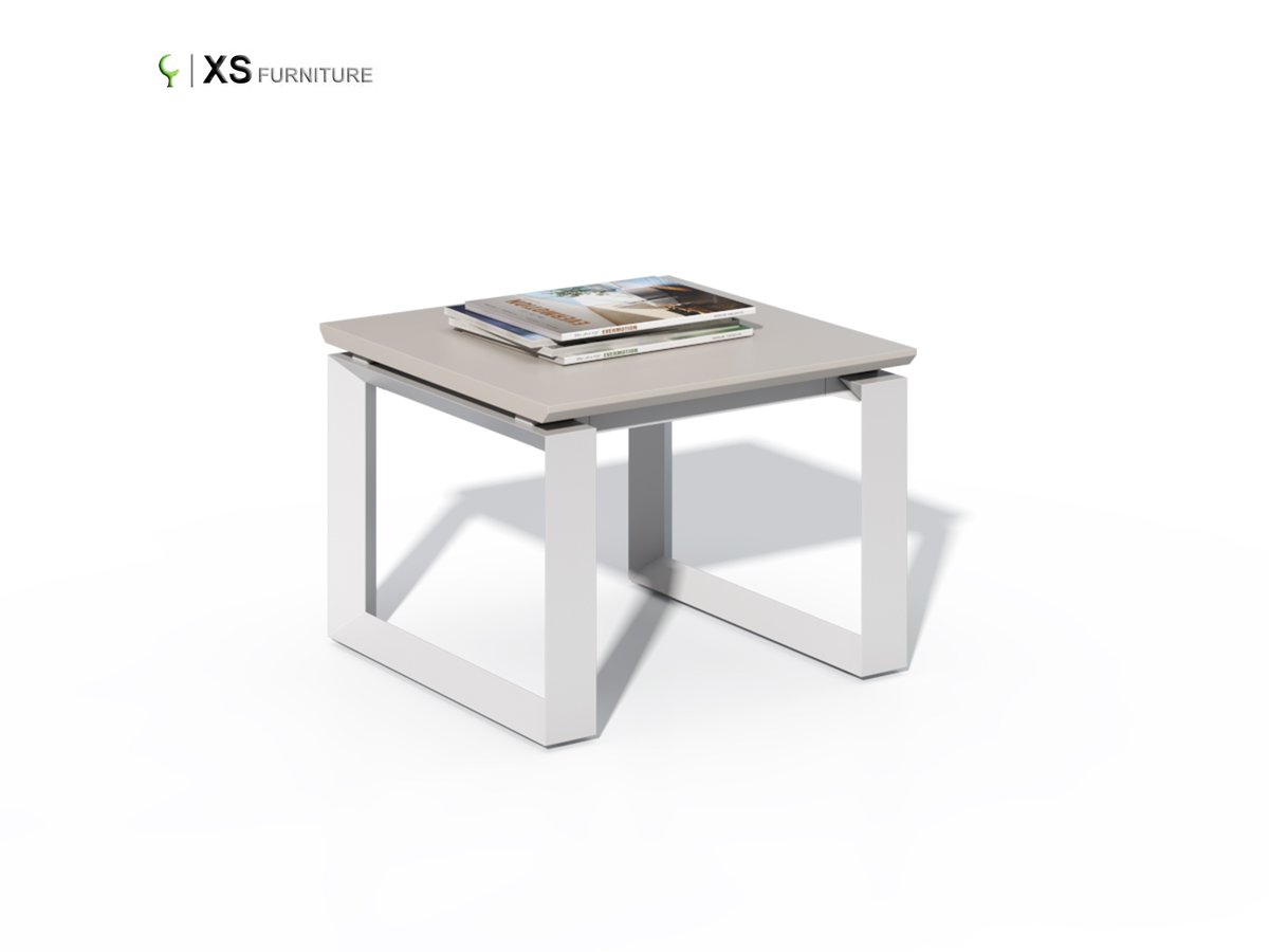 XS-MS0606T-01