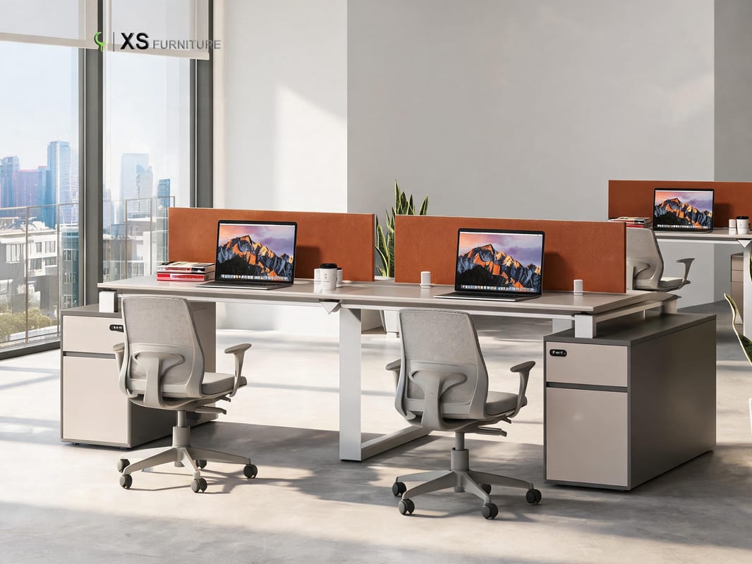 xs ms2612w 03