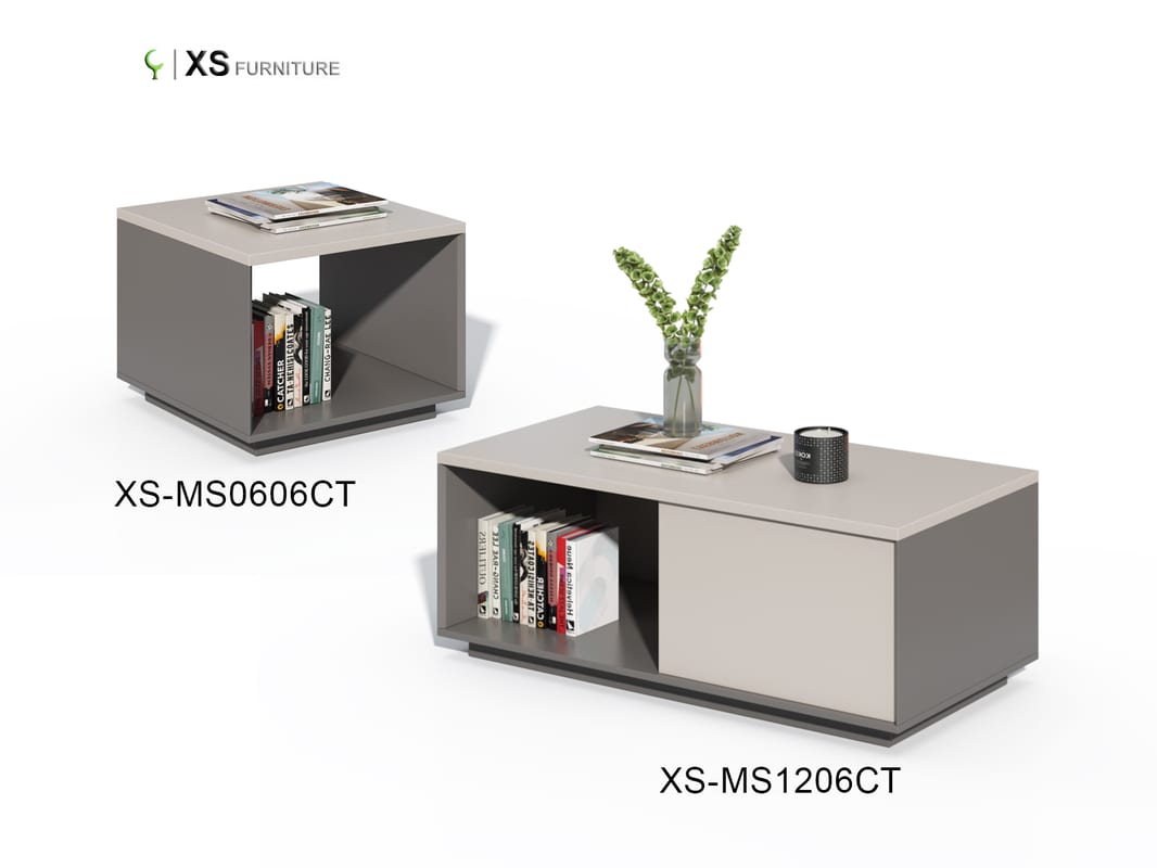 xs ms0606ct 02