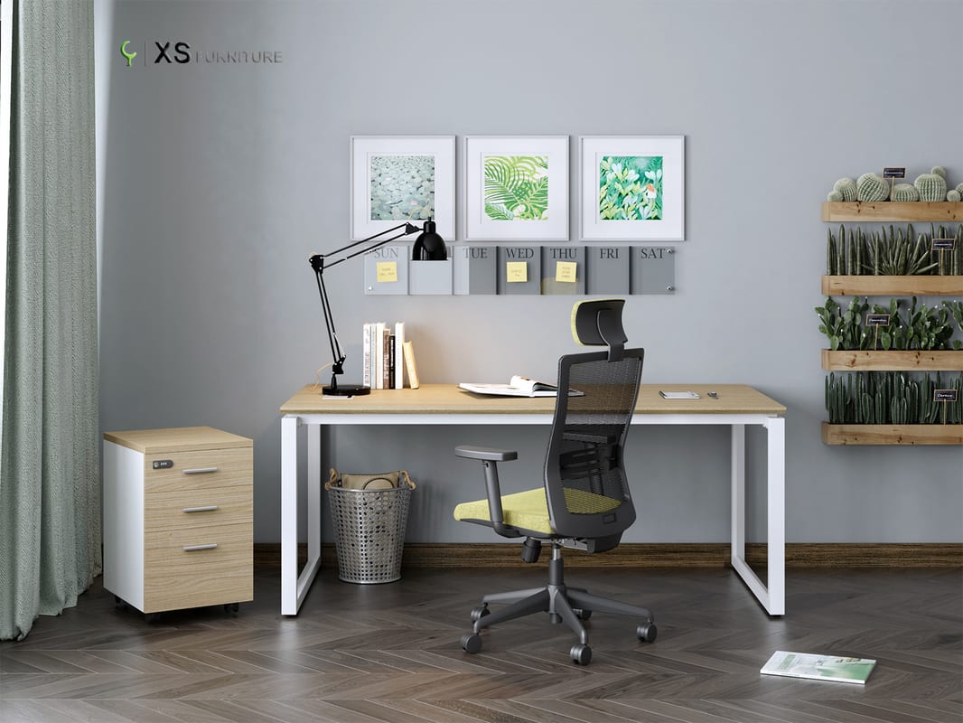 xs mo1206 04