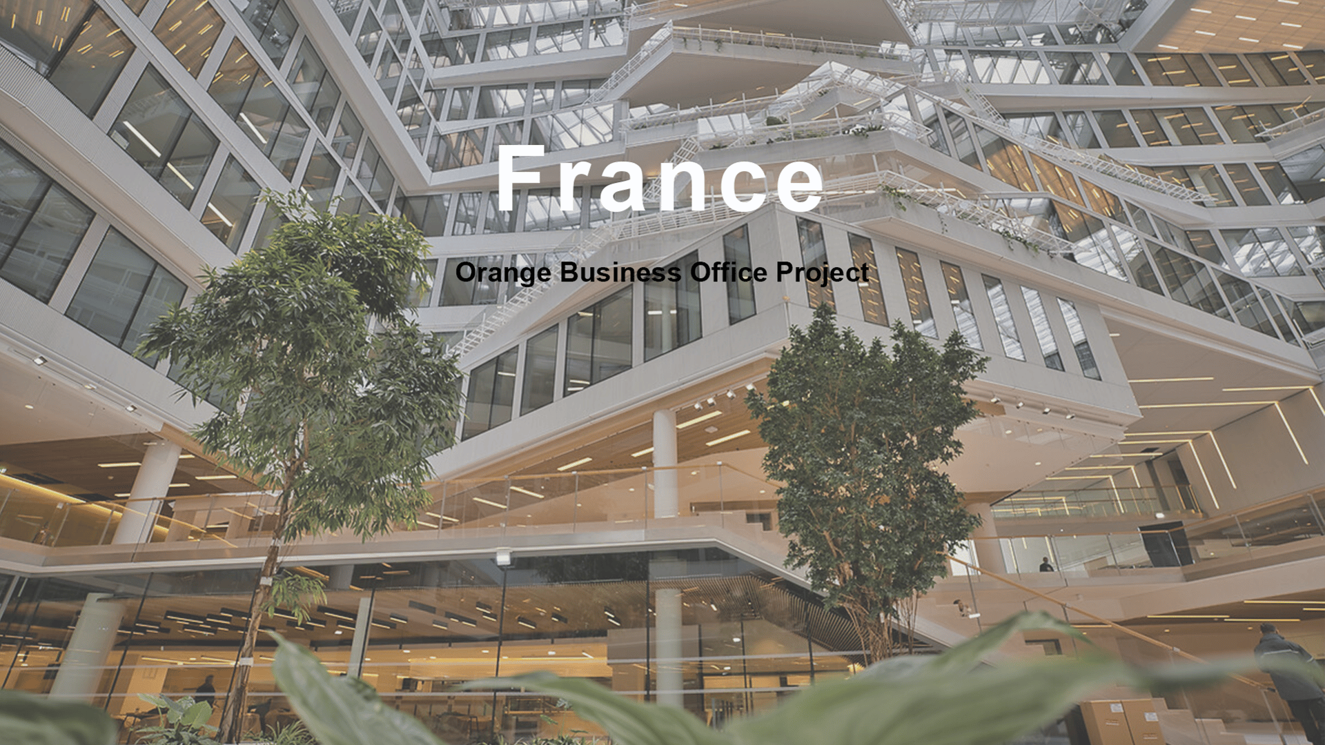 Modular Office Solution for Enterprise Workspace office furniture project in France
