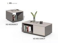 XS-MS0606CT-02