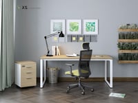 XS-MO1206-04