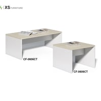 CF-0606CT-02