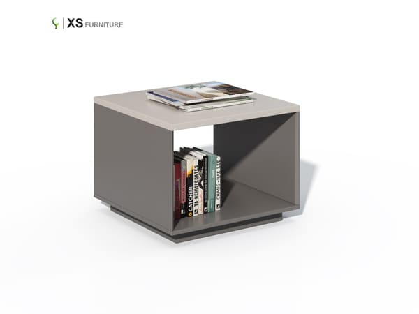 XS-MS0606CT-01