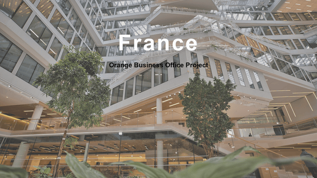 Modular Office Solution for Enterprise Workspace office furniture project in France, Telecommunications operators — XuSheng