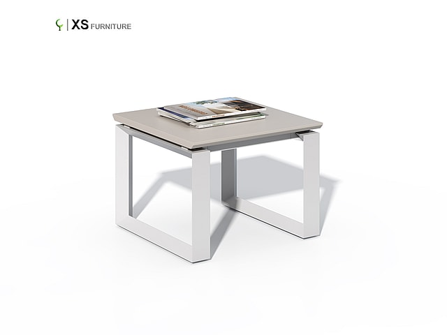 XS-MS0606T-01